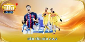 Kèo Tài Xỉu 2-2.5