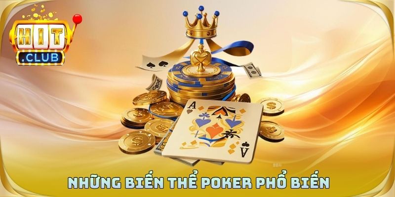 Những biến thể poker phổ biến dành cho người mới